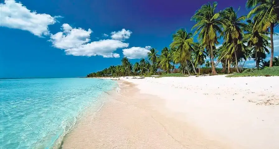 Fact 7: Lush Landscape from Uvero Alto to Cap Cana